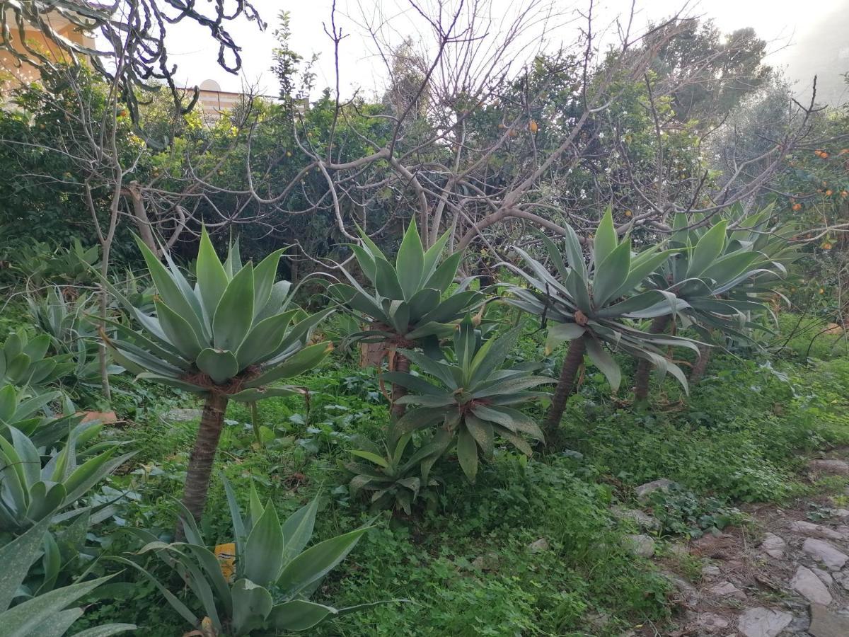 Villa Africa Капачи Екстериор снимка